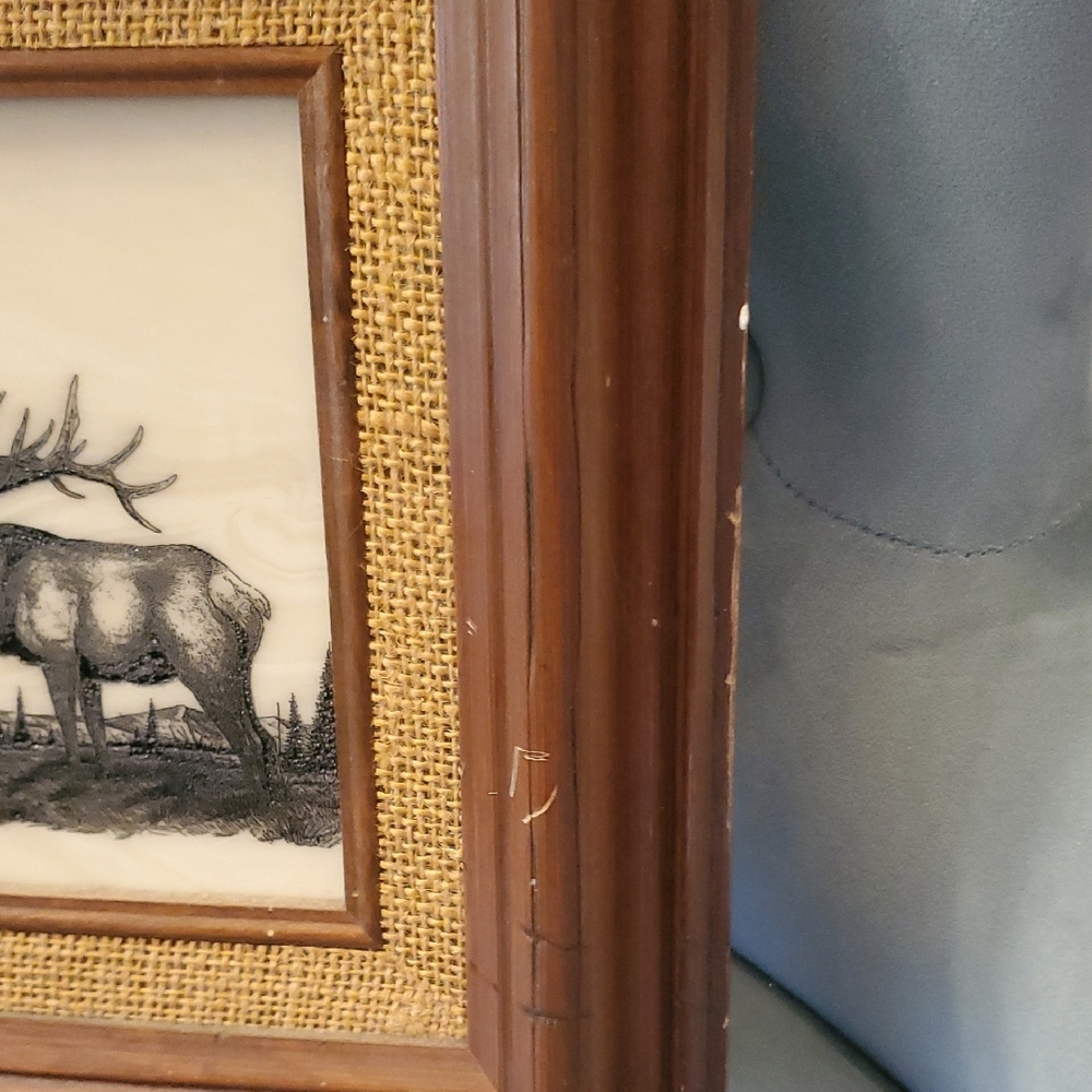 Vintage Wood-Framed Wildlife Picture - Bear, Elk & Eagle in Black and White - Picture 3 of 7